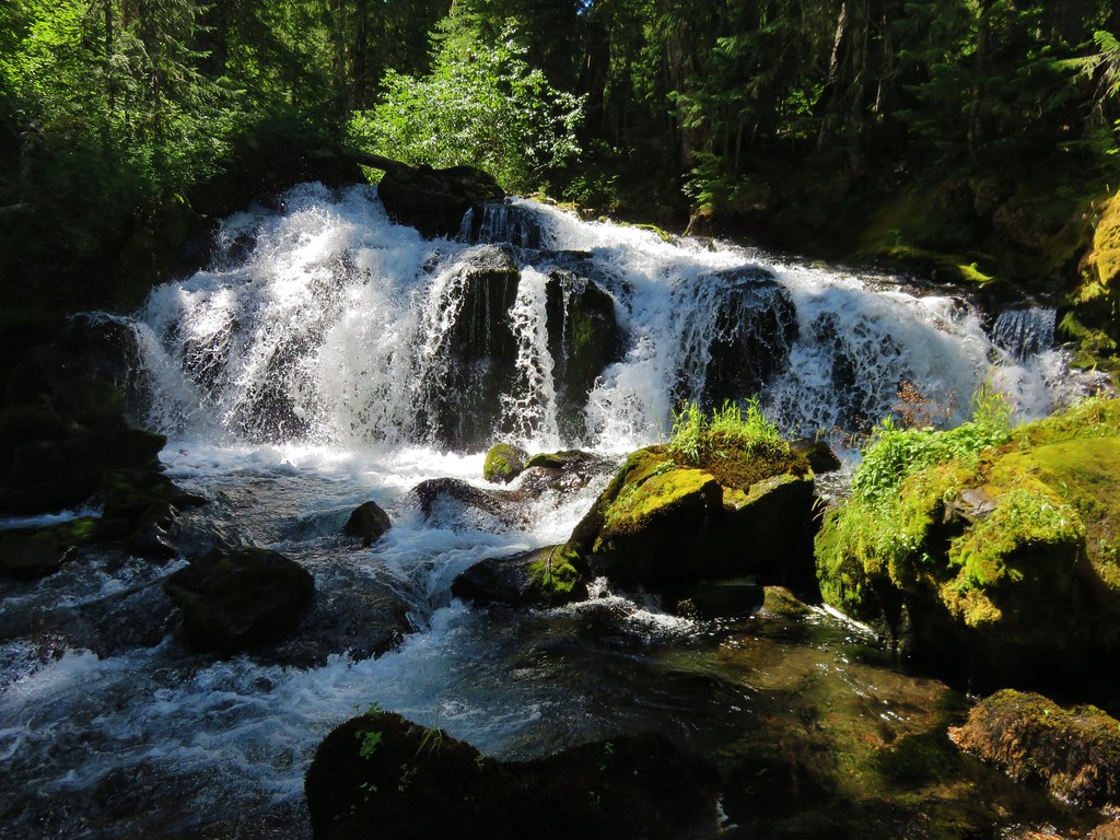 Waterfall along Linton Creek