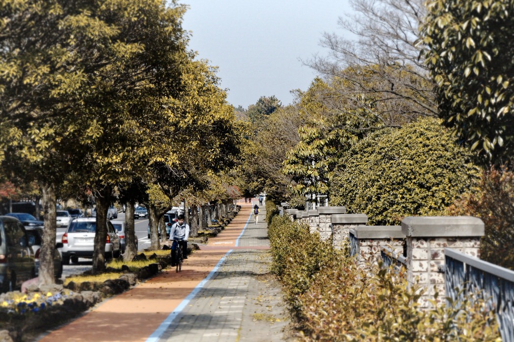 Beginning of 사라봉공원