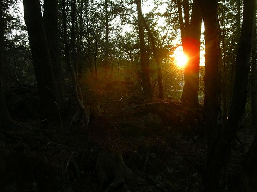 sunset ontario forest geotagged woods geocaching pentax bruce optio formosa brucecounty formosaontario ©gregorypleau