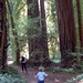 nick, chasing his mom down the trail through the redwoods   dscf8641