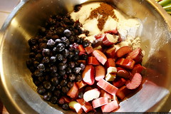 rhubarb blueberry pie filling    MG 4048 