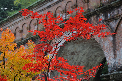 red topf25 japan kyoto nikond70s foliage momiji gettyimages nanzenji nikon1870mmf3545g topvaa botopv0706 geo:lat=35010636 geo:lon=135793950