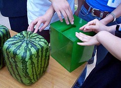 squaremelon