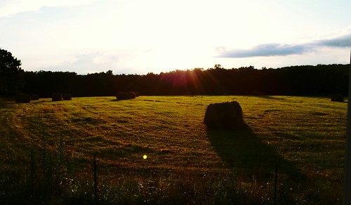 sunset field missouri