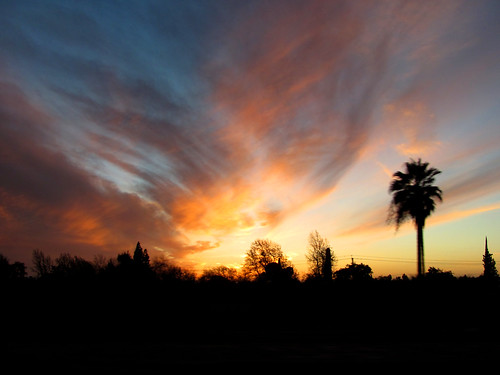 california sunset usa tree unitedstates palm fresno ooolookit