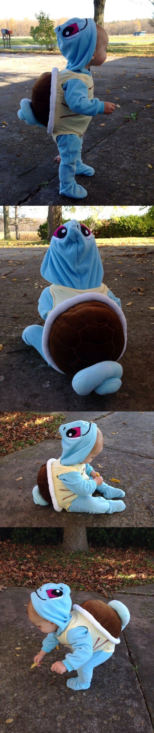 It Doesn't Get Cuter Than This Baby Squirtle
