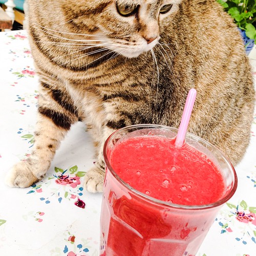 strawberry smoothie delight, july 2015