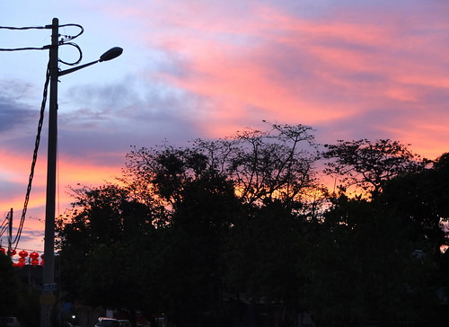 sunrise dawn silhouette tree plant cloud sky morning butterworth penang malaysia