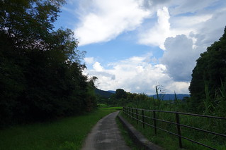山の辺の道