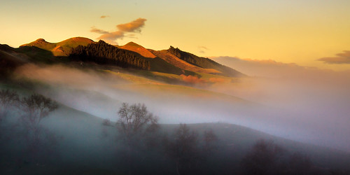 fog hastings havelocknorth hawkesbay hills landscape mist morning nature newzealand northisland yellow nz