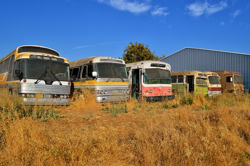 buses williams junkyard busgraveyard colusacounty us99 usroute99w