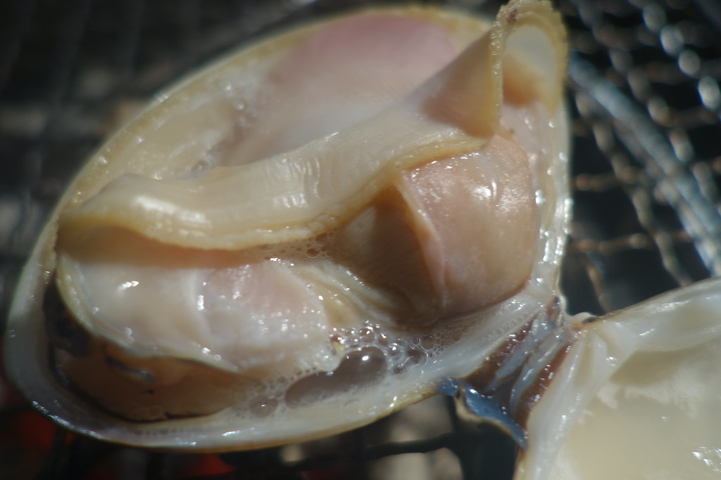 HAMAGURI, Baked clam