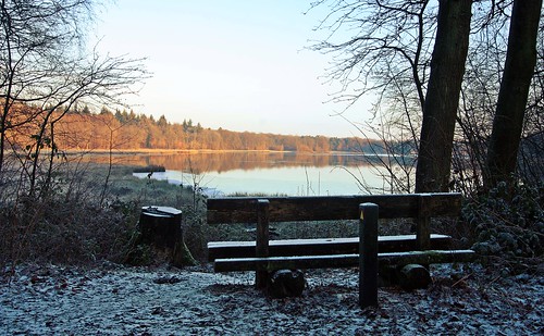 nature venkoelen venlo limburg netherlands sunlight sunshine sunrise bench trees snow frost winter water lake