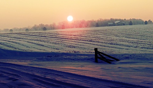 christmas winter snow cold still peace serene sunrise morning holiday country fence