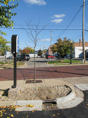 2014 20141011 barrycounty barrycountymichigan churchstreet hastings hastingsmichigan hastingslandscape hastingsstreetscape img9100 michigan michiganlandscape northchurchstreet october october2014 autumnlandscape brickpavement brickpaving brickstreet centralbusinessdistrict deadleaves differentkindsofpavement dirt downtown downtownhastings downtownstreetscape electriclines electricpoles falllandscape fallenleaves flowerbedwithoutflowers gravel gravelbed landscape landscaping overheadelectriclines overheadpowerlines paved pavement powerlines sidewalk sidewalklandscaping sidewalktree sign signbed skinnytree skinnyyoungtree southmichigan southernmichigan southwestmichigan southwesternmichigan stormdrain stormdraingrate stormsewer streetlandscaping streettree streetscape sunny telephonepoles urbanlandscape utilitypoles view westmichigan westernmichigan youngskinnytree youngtree unitedstates