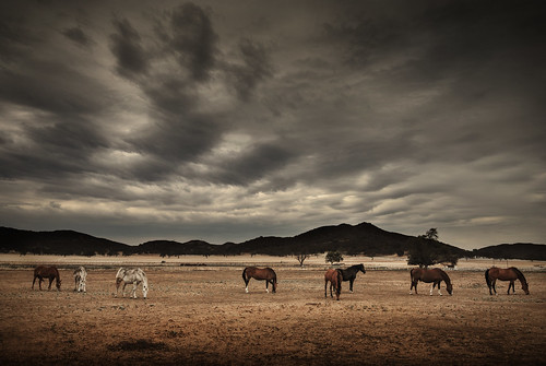 california sky horses clouds landscape interesting nikon drought hiddenvalley thousandoaks keikomatsui 060915 secretpond
