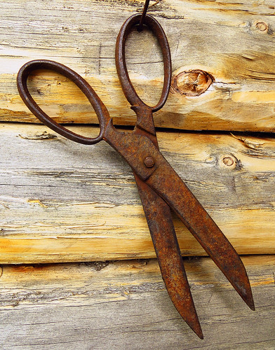 scissors log frame metal iron rusty rust tomsk westernsiberia russia canon canondigital canonphotography canonsx50 sx50 hyperzoom outdoor amateur tool snippers shear old tackle loghut blockhouse logcabin ferruginous scalywithrust corroded simpleness simplicity elegancy naivete 1000v40f 500v20f salient he loo