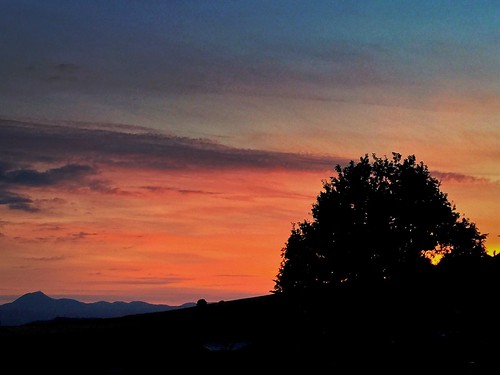 sunset auvergne enjoyingtheview beautifulsunset chainedespuys skyandtrees sunsetsilhouettes sunsetcollection iphoneography myauvergne