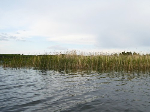 camping lake canada reed water alberta northbucklake