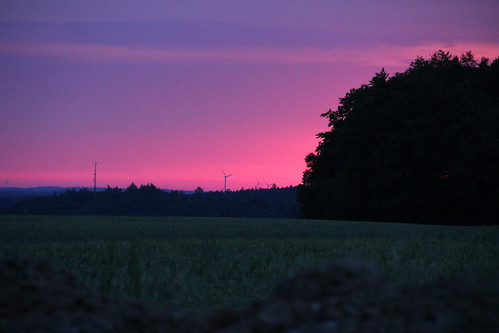 sunset sun tree field germany bayern deutschland bavaria purple feld dslr stormchasesport