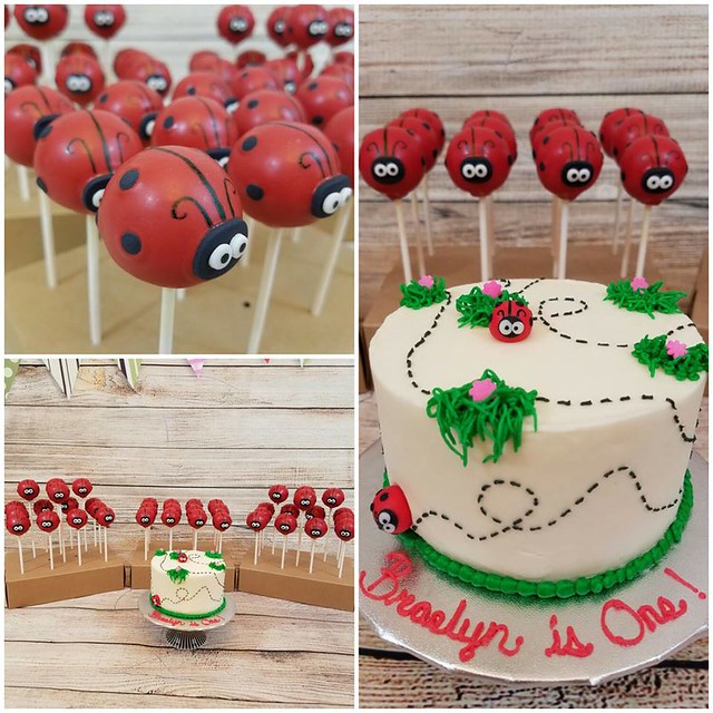 Lady Bug Smash Cake and Cake Pops by Crystal Looker of Heavenly Sweets & Treats