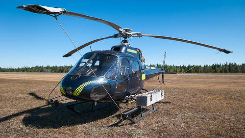 canada chopper britishcolumbia aircraft aviation helicopter airbus b2 heli eurocopter as350 astar williamslake aerospatiale talonhelicopters bcpics cywl cfdnf
