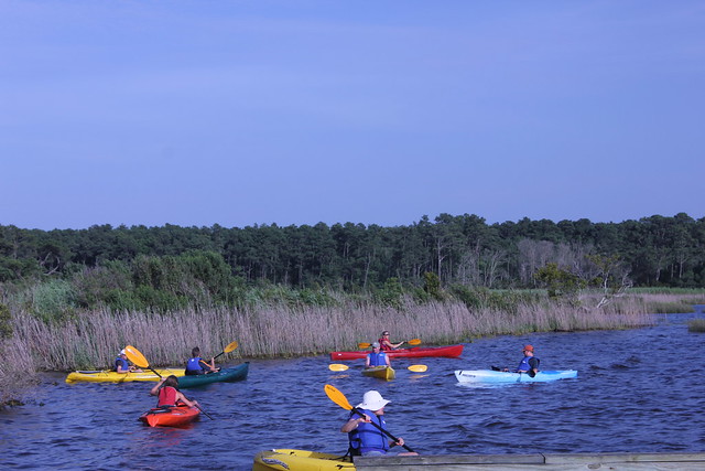 Before planning to camp at False Cape State Park, Virginia go on a few guided kayak, hikes or history programs so you can get familiar with all the park has to offer.