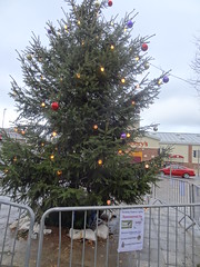 Dursley Christmas Tree