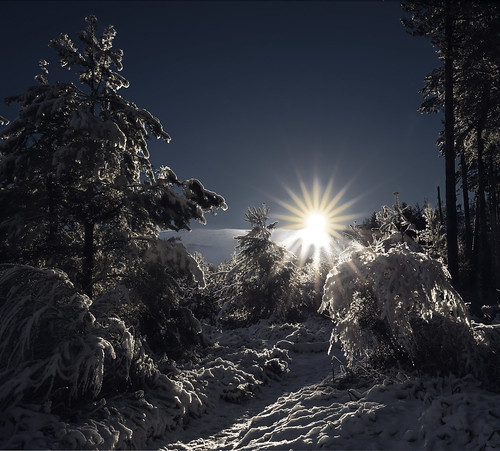 sunshine sunrise snow aviemore cairngorms cairngormsnationalpark bluesky grantmorris grantmorrisphotography canon scotland
