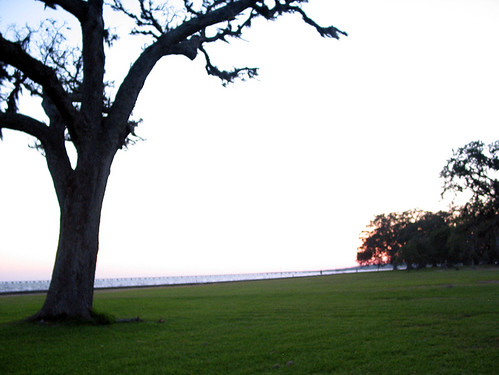 trees sunset sky lake grass louisiana ground lakefront pontchartrain