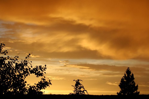 trees sunset orange clouds montana ©tylerknottgregson