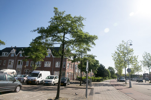 Амстердам и окрестности в июне 2015
