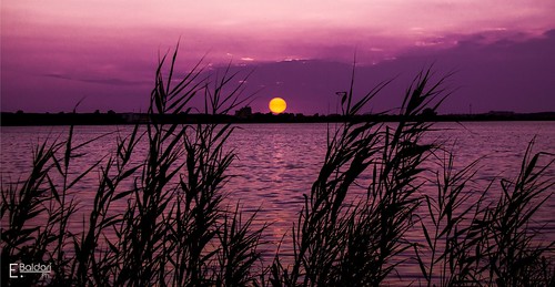 sunset summer sky italy sun lake water landscape lago photo nikon flickr italia tramonto campania foto estate purple memories napoli sole acqua viola lagopatria d3100