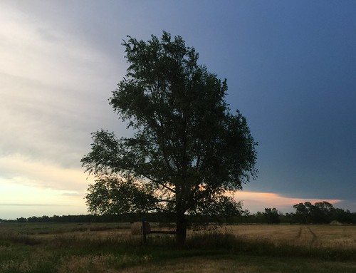 sunset tree clouds rural landscape twilight outdoor dusk country