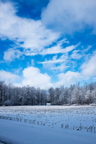 clouds sunlight field woods snow blue white cloudybright partial sun