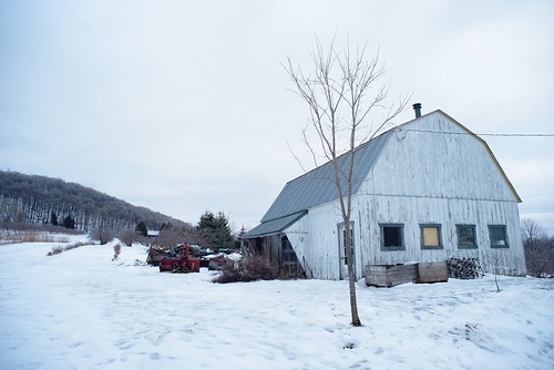barn landscape sony a7 olympus zuiko 35mm rawtherapee linux winter canada quebec hiver neige