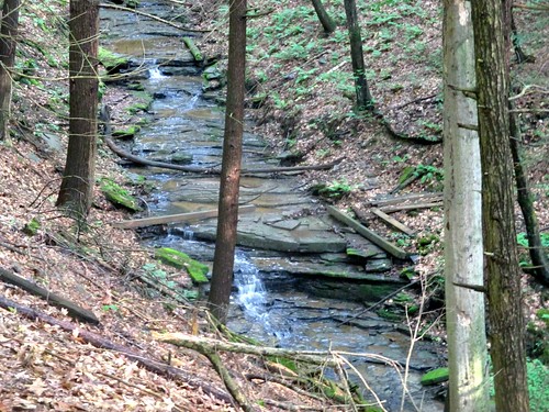 newyork stream limestone gorge woodlandtrail apalachin tinywaterfalls pleasantsound watermanconservationeducationcenter