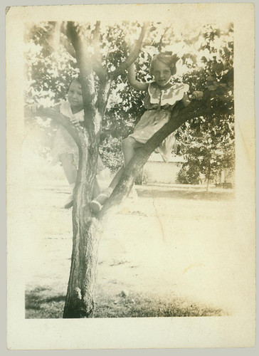 Two children in a tree