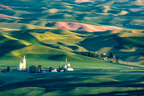 morning light opportunity food sunlight abstract green nature grass sunshine horizontal rural sunrise buildings landscape outdoors dawn countryside town washington spring scenery downtown pattern glow shadows view natural farm background wheat small country farming cereal scenic nobody aerial farmland hills soil beginning rows tiny land pacificnorthwest peas fields wa environment crops growing agriculture distance grassland success hilly emptiness rolling grainelevator distant stockphoto contours vast palouse stockphotography travelphotography colorimage steptoebutte cashup