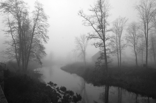 november autumn mist lake fall misty fog forest river stream sweden sverige oblivion tierp uppland strömsberg