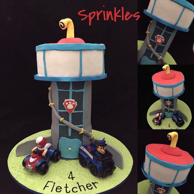 Paw Patrol Themed Cake by Sprinkles