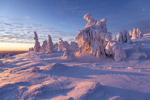 snow schnee sunrise trees canon 6d