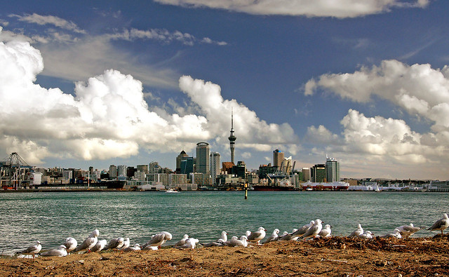 Auckland Skyline. NZ