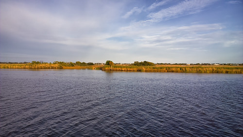 canal nokia louisiana smartphone coastal wetlands marsh waterscape gulfcoast dulac terrebonneparish ilobsterit lumia1020