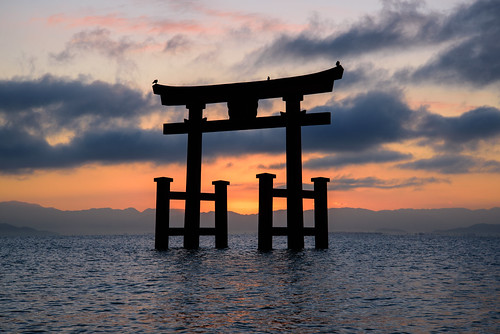 高島市 滋賀県 japan 琵琶湖 湖 lake 白髭神社 神社 shrine 日の出 sunrise