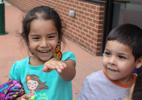 Children enjoying a Monarch Butterfly during a community event in Chicago