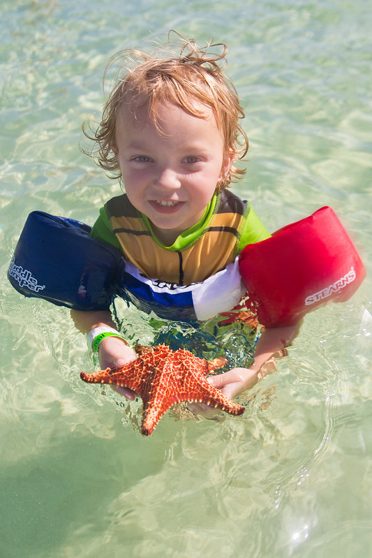 Visiting Starfish Point in Grand Cayman