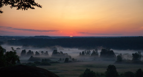 sky sun mist nature fog forest sunrise dawn ground ukraine sedniv