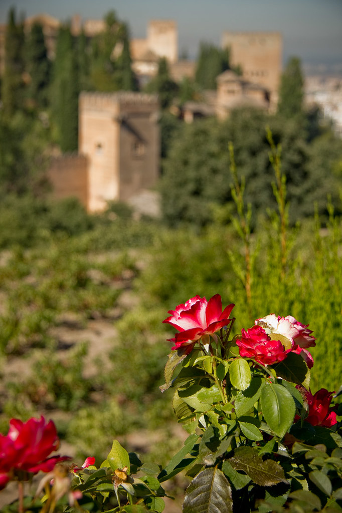 Gardens at the Alhambra