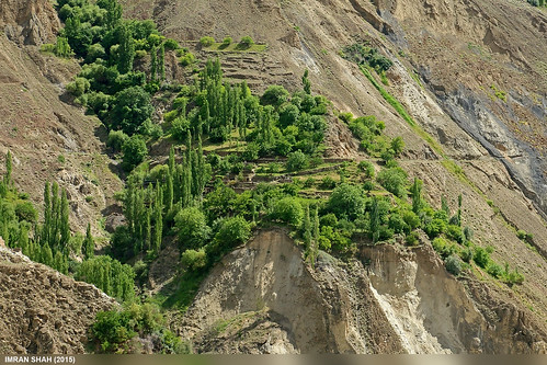 trees pakistan canon landscape geotagged rocks tags location elements vegetation fields tele tamron hunza nasirabad gilgitbaltistan imranshah canoneos70d gilgit2 tamronsp1750mmf28dillvc